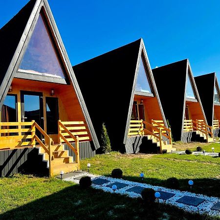 A-Frame Bucovina- Paradis Bucovinean Capu Cimpului ภายนอก รูปภาพ