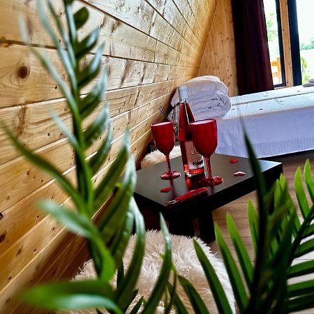 A-Frame Bucovina- Paradis Bucovinean Capu Cimpului ภายนอก รูปภาพ