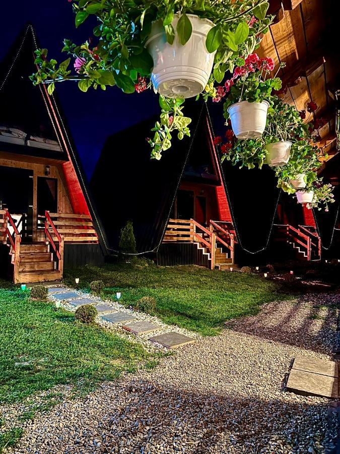 A-Frame Bucovina- Paradis Bucovinean Capu Cimpului ภายนอก รูปภาพ