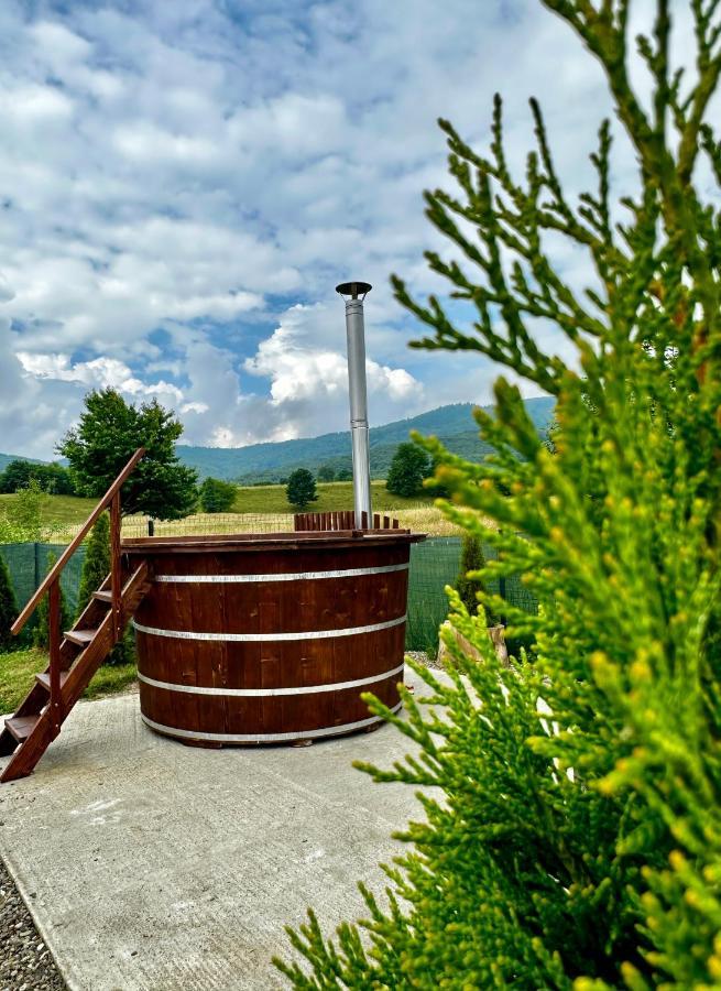 A-Frame Bucovina- Paradis Bucovinean Capu Cimpului ภายนอก รูปภาพ